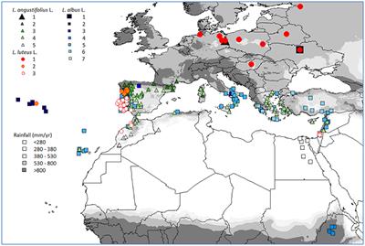 Reproductive Strategies in Mediterranean Legumes: Trade-Offs between Phenology, Seed Size and Vigor within and between Wild and Domesticated Lupinus Species Collected along Aridity Gradients